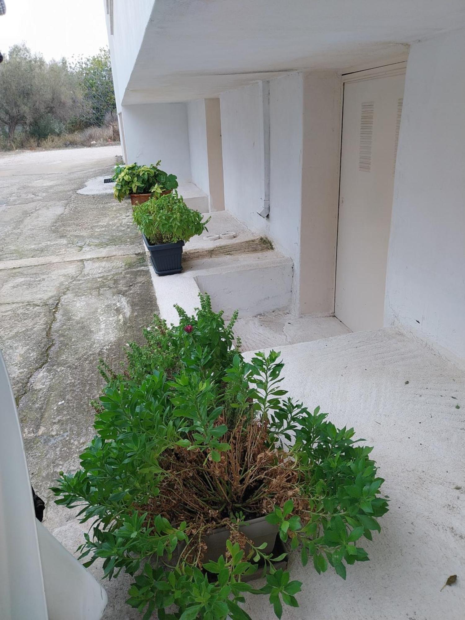 Nav Apart, Salamina Paloukia Buitenkant foto